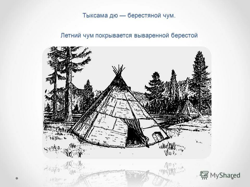 Берестяной чум якута 5 букв. Берестяной чум. Чум из бересты. Чум из коры. Жилища эвенков.