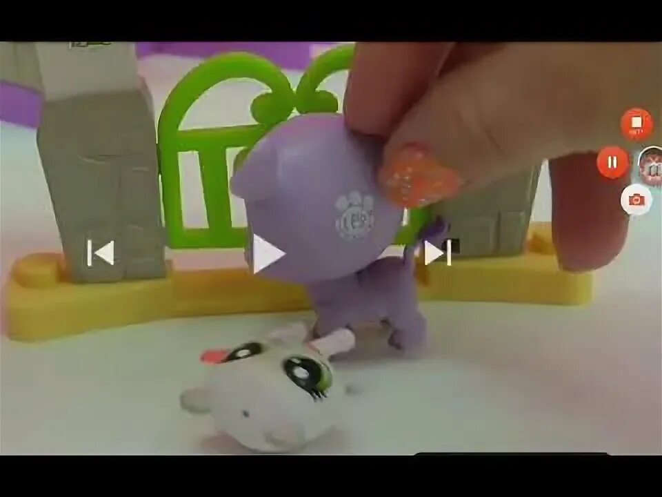 Код лапок. Сканер LPS лапки. Лпс коды лапки. Лпс сканер Littlest Pet shop your World.