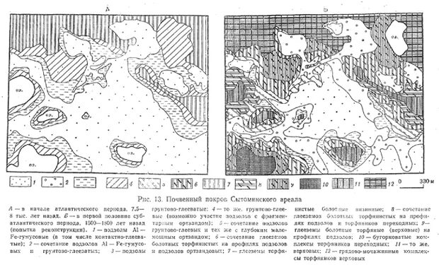 почвенный ареал. элементарный почвенный ареал. элементарный почвенный ареал. неоднородность почвенного покрова. почвенный ареал.