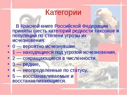 Исчезает февраль исчезает