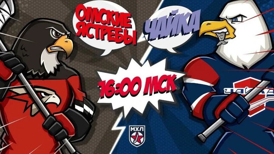 Хищная птица в небе. Ястреб чайка. Ястреб чайка. Мхл все команды 2023/2024. Ястреб чайка.