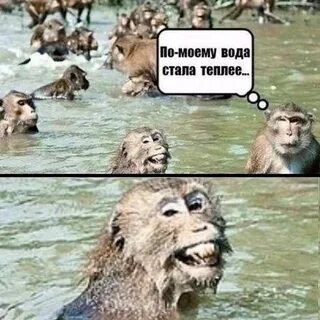 Ура воду дали