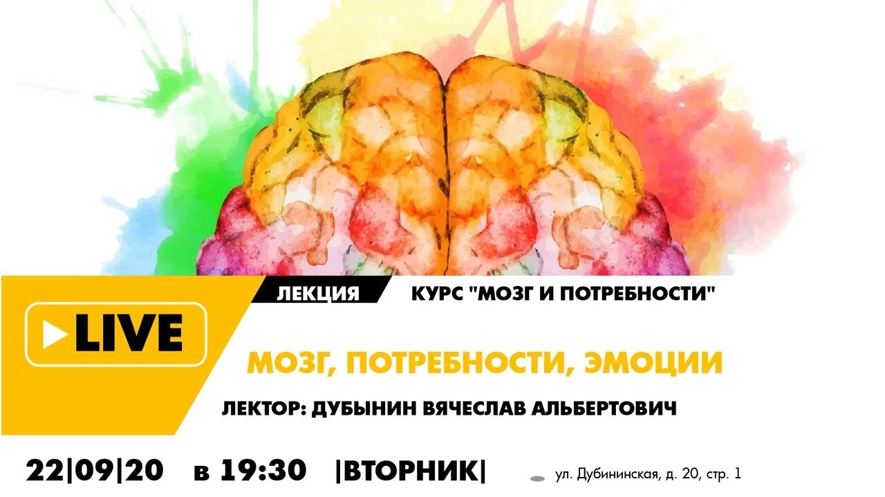 Need brain. Лекция о мозге. Потребности мозга. Мозг курс.