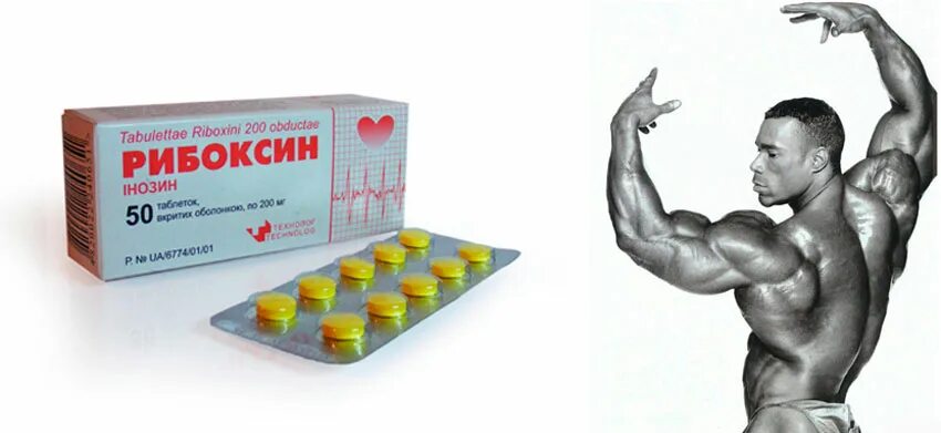 Препараты для мышц. Таблетки для тренировки. таблетки для культуристов. таблетки для мышц. аптечные препараты для бодибилдинга.