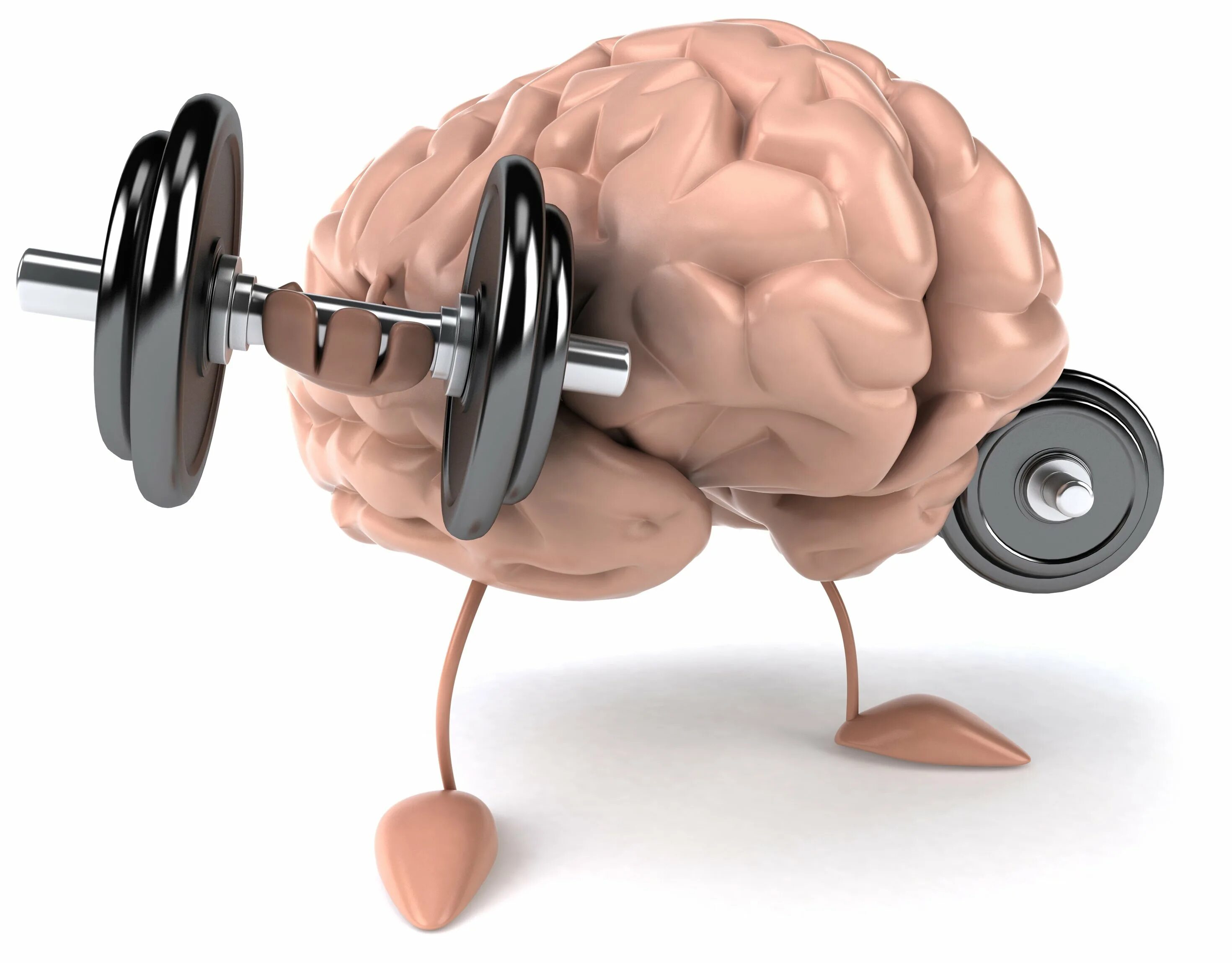 Интеллектуальная активность. Тренировка мозга. Мозг с гантелями. Мозг тренируется. Сильный мозг.