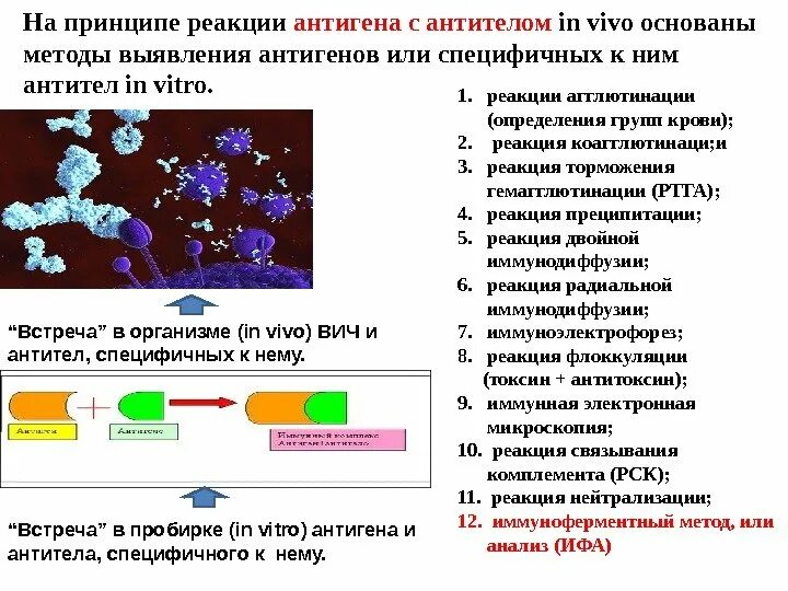 Реакция агглютинации. Моноклональные антитела. Реакция агглютинации антиген антитело. Реакция агглютинации для выявления антител. Методы выявления антител. Реакция агглютинации антиген