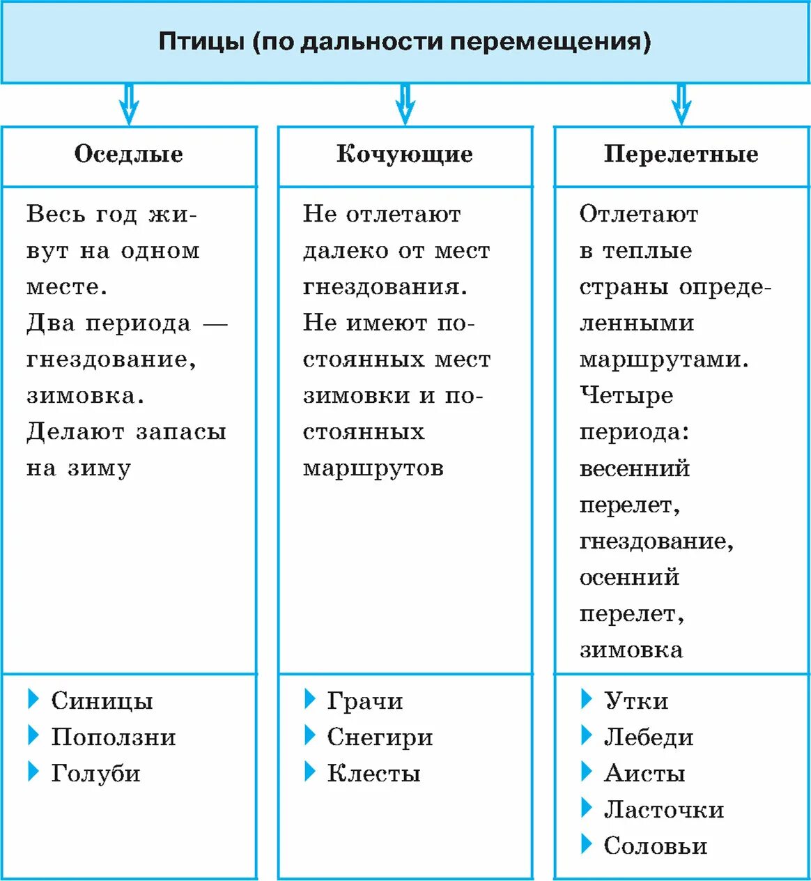 Птицы по дальности перемещения. Группы птиц по дальности перемещений. Таблица группы птиц по дальности перемещения. Систематика птиц таблица.