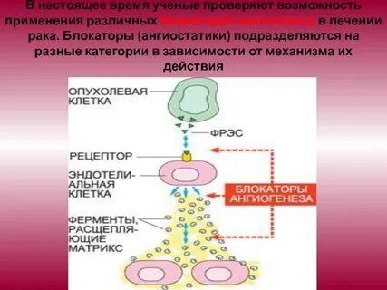 Ингибиторы ангиогенеза