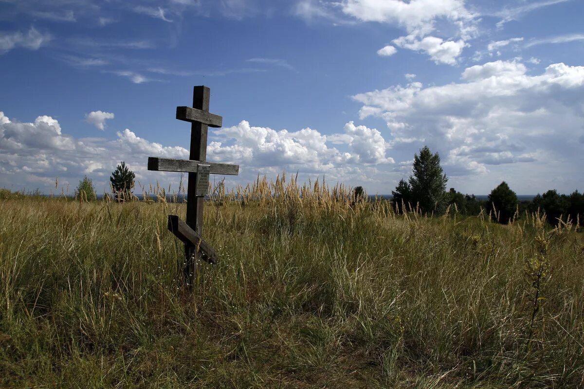 Нашел солдат в заросшем поле