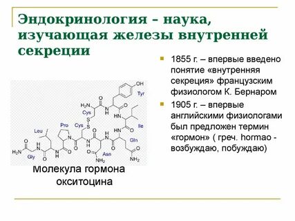Наука изучающая внутреннее строение