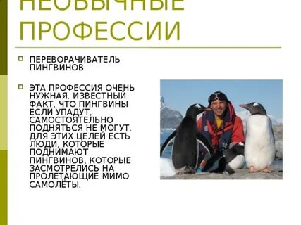 2 интересные профессии