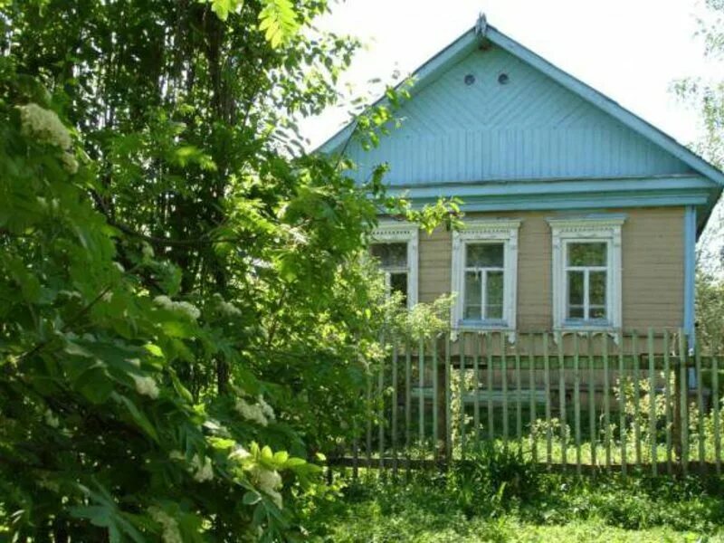 Деревня ольхи рязанская область. Деревня борки рязанская область. Продается дом в деревне. Рязанская область деревенское. Сельский домик.
