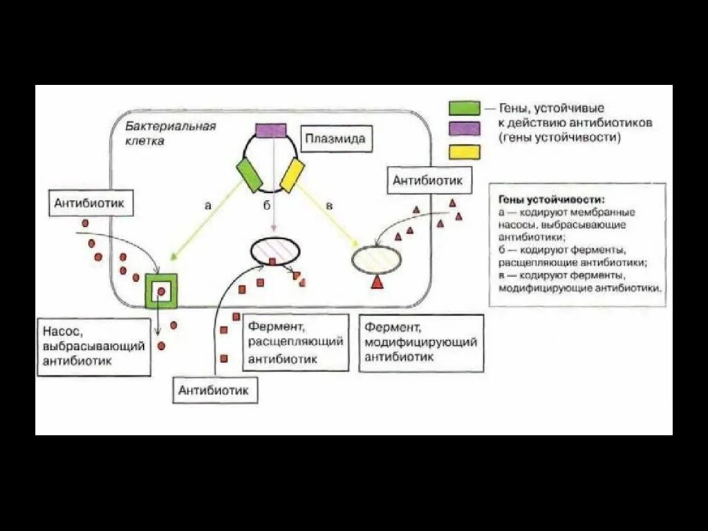 Ген резистентности. Механизмы развития приобретенной устойчивости к антибиотикам. Гены антибиотикорезистентности схема. Механизм антибиотикорезистентности схема. Молекулярные механизмы бактериальной антибиотикорезистентности.