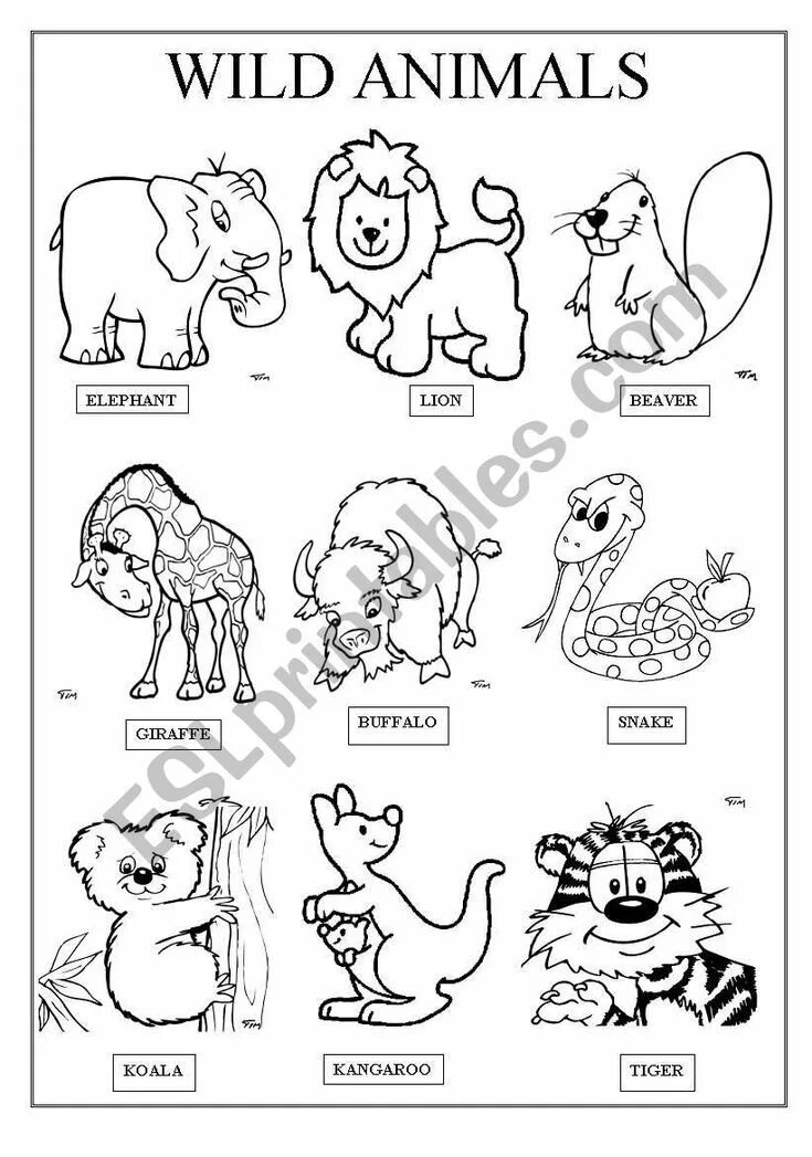 Английский язык Wild animals Worksheets. Животные на английском для детей. Животные на английском для детей задания. Животные на английском для детей раскраска. Wild animals worksheet