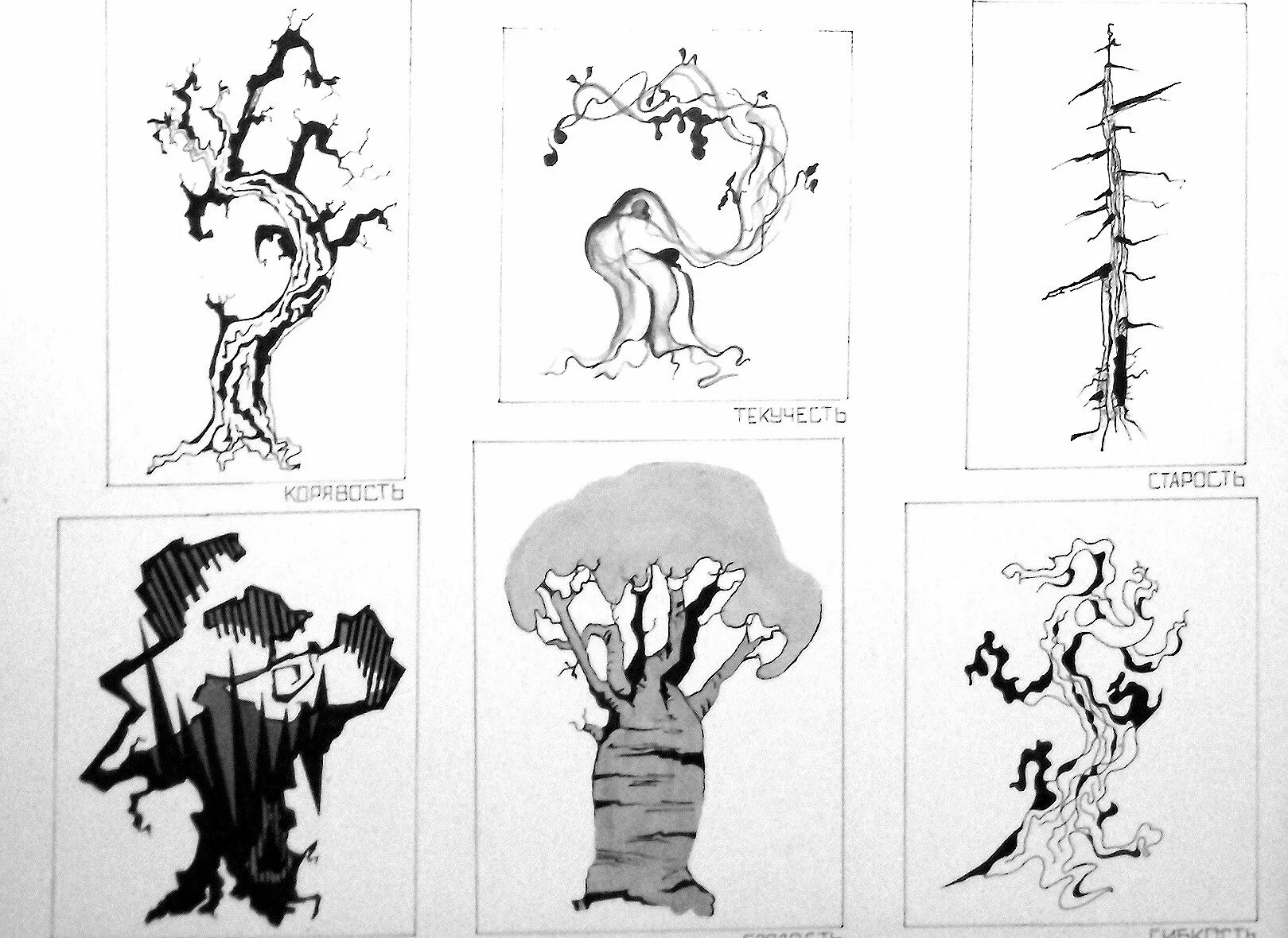 Стилизация рисунок. Графическая композиция дерево. Стилизация деревьев в композиции. Стилизованные деревья рисунки.