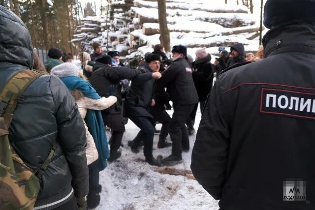 Митинги против вырубки парков. Вырубка троицкого леса. Протест в троицке. Лес протест. Лес протест.