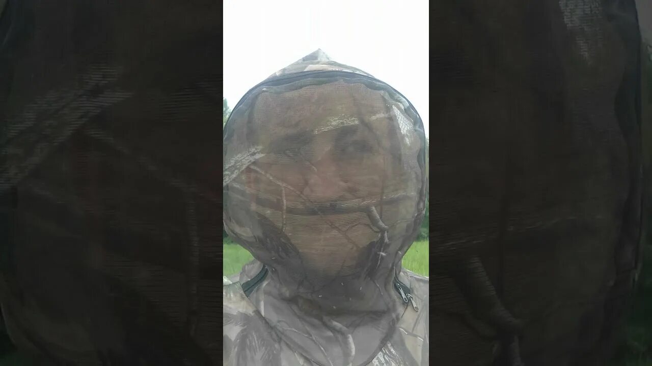 Мошка в волгограде когда начинается и заканчивается. Ахтубинск астрахань мошкара.