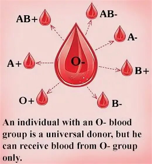 Blood receive