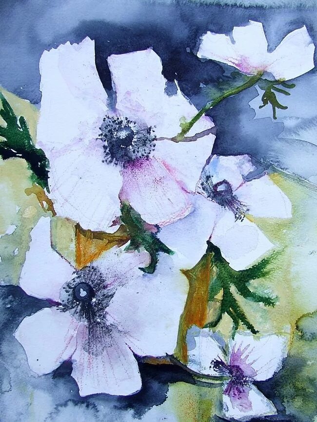 Цветы этюд. Этюды растений акварелью. Акварельные этюды цветов. Этюды цветов акварелью. Этюды цветов акварелью.