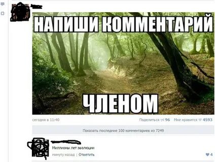 Запись оставить комментарий