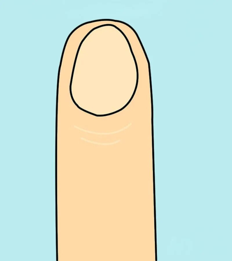 О чем говорит форма ногтей. Форма ногтей расскажет о характере. Форма ногтей хиромантия.