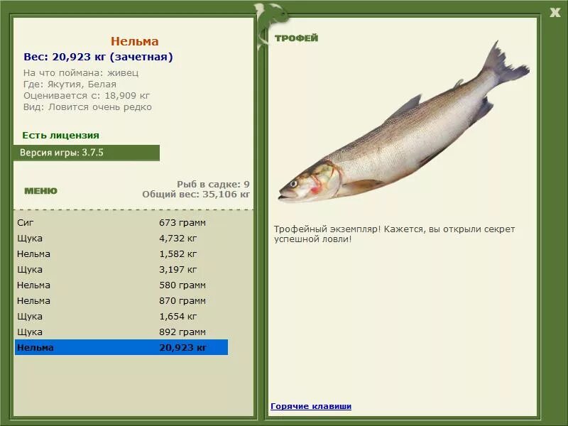 реальная рыбалка нельма