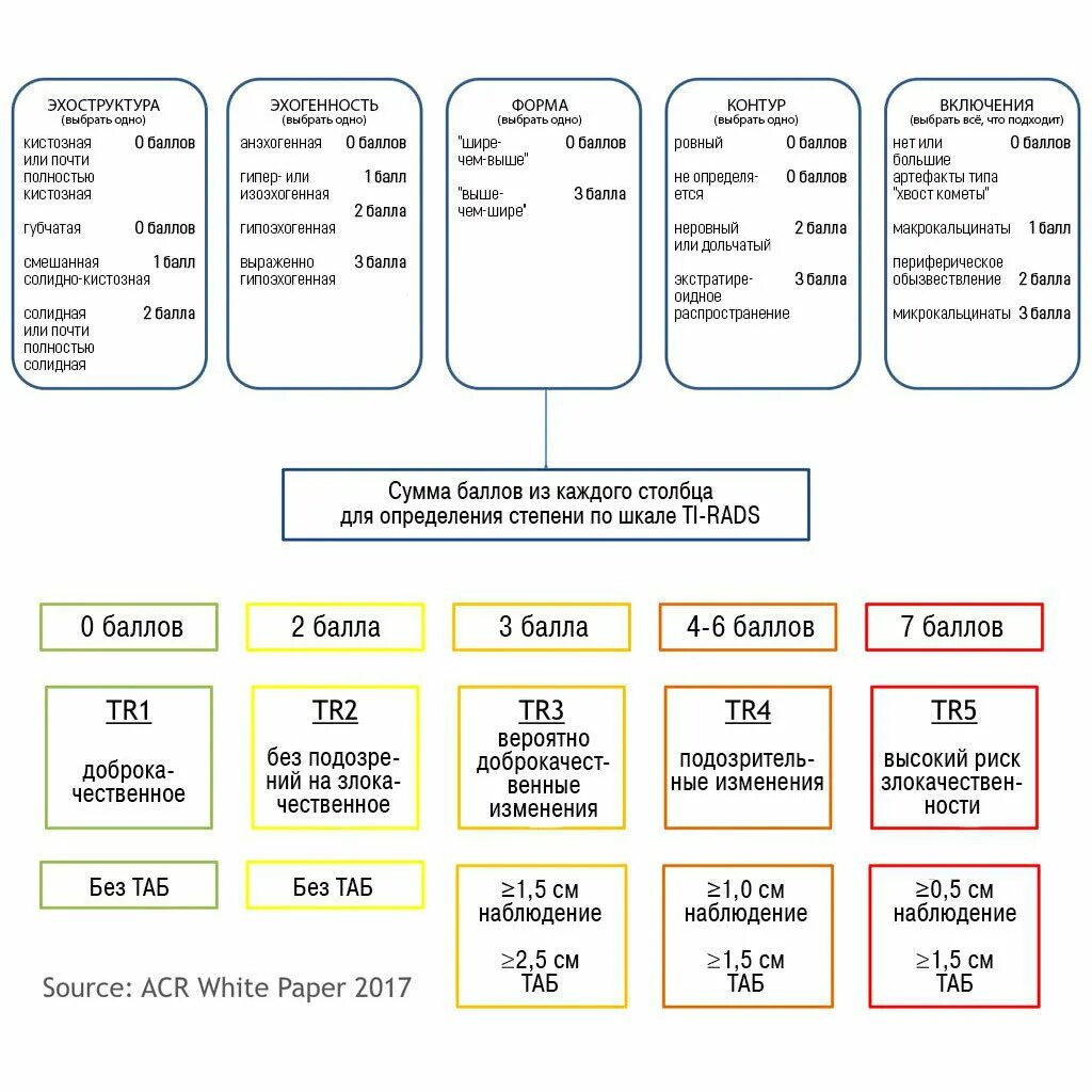 Классификация Tirads щитовидная железа УЗИ. Шкала тирадс для УЗИ щитовидной железы. Тирадс классификация узлов щитовидной железы для УЗИ таблица. Классификация по Tirads щитовидной. Шкала rads