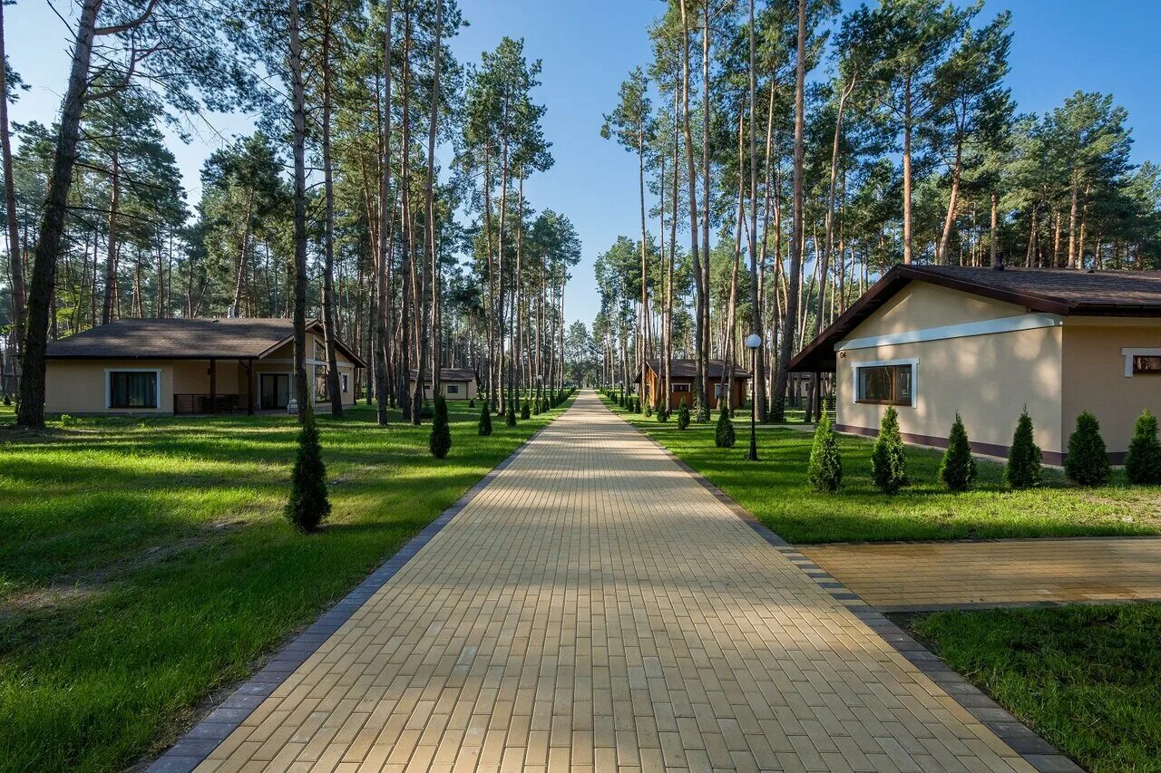 парк серебряный бор сосны. парк отель лесной солнечногорский район. благоустройство лесопарковой зоны. парк отдыха лесной. парк-отель лесное солнечный.