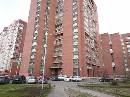 Санкт петербург проспект тореза