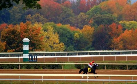 Fall meet
