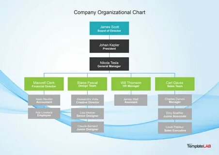 Organization but