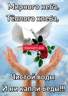 Самого доброго и мирного утра