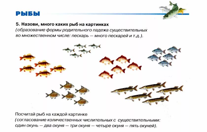 Лексическое значение рыб. Лексическое значение рыб. Экологическое значение рыб. Компоненты лексического значения. Лексическое значение слова это.