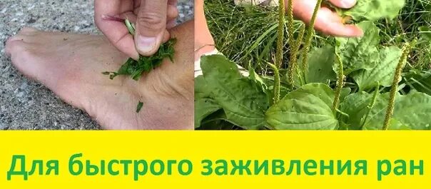 Чтоб быстро зажило