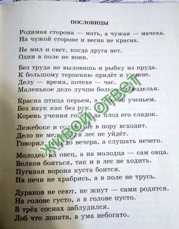 Пословица лежебоке и солнце всходит в пору. Лежебоке и солнце не в пору пословица. Пословица микитка книжка. Пословица лежебоке и солнце. Пословица лежебока не и солнце всходит в пору.