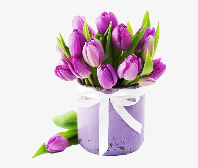 Тюльпаны в оазисе. Фиолетовые тюльпаны букет. Тюльпан фиолетовый. Фиолетовые тюльпаны в коробке.