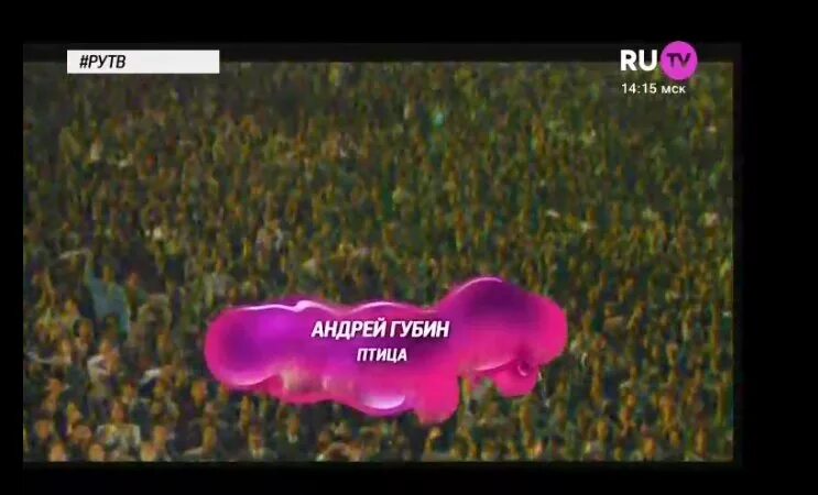 Сборник звуковой. Ночь губин текст. Птица губин текст. Губин лена. Губин птица текст.