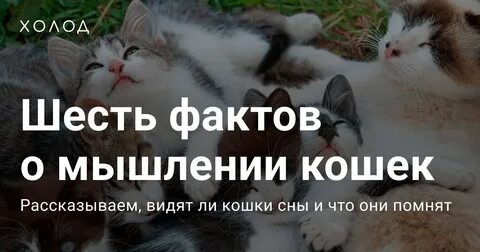 6 фактов