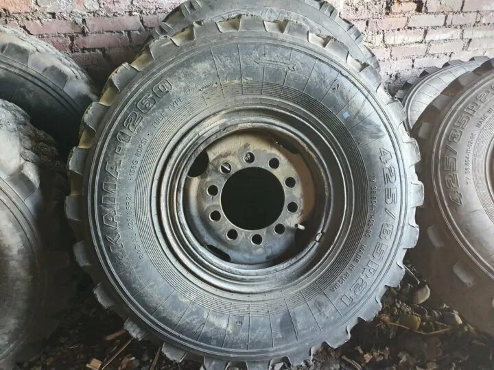 Колесо батыр. Кама 1260-1 425/85 r21 КАМАЗ. Колесо 1260 КАМАЗ вездеход. Резина батыр КАМАЗ 1260. Колесо КАМАЗ батыр.