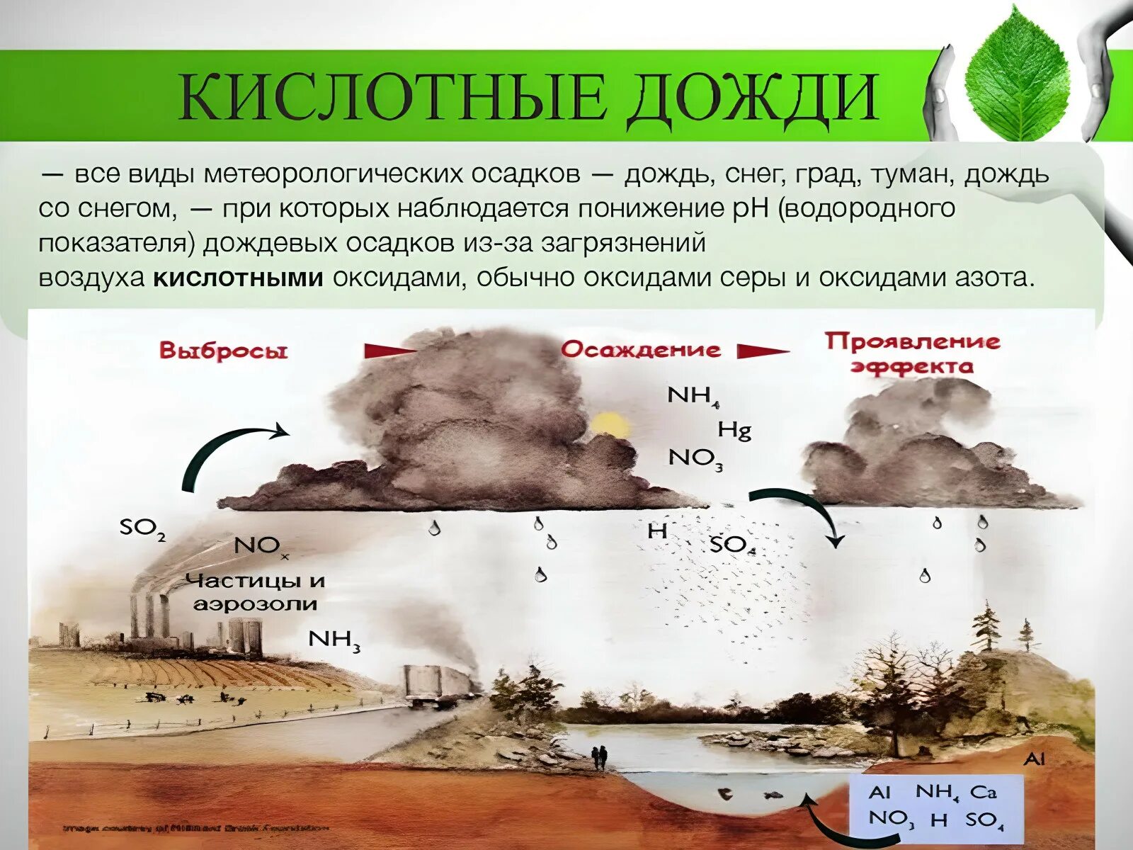 Химические соединения, образующие «кислотные дожди». Кислотные осадки. Причины образования кислотных осадков. Возникновение кислотных дождей. Влияние серы на окружающую среду