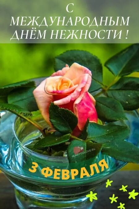 Международный день нежности. Международный день нежности 3 февраля. 3 февраля день нежности картинки. Открытка с днём нежномти. Медведи обнимаются.