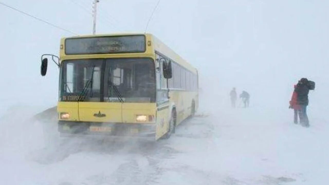 Расписание маршруток мурманск. Автобус мурманск верхнетуломский. Расписание автобусов мурманск заполярный мурманск. Расписание автобуса 5. Расписание автобусов сосновоборск железногорск.