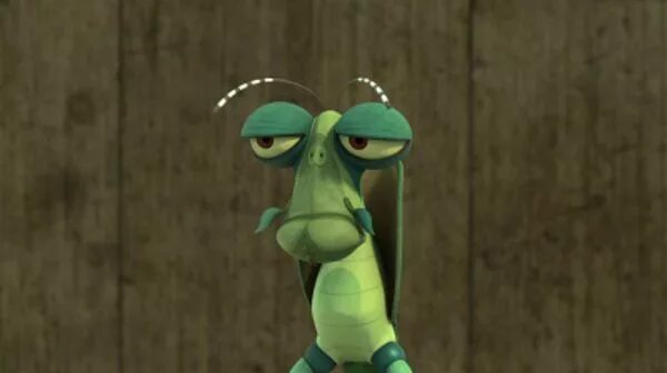 Богомол кунг фу панда. Мантис кунг фу панда. Богомол из кунг фу панда. Мастер богомол кунг фу панда 3. Богомол из кунг фу панда.