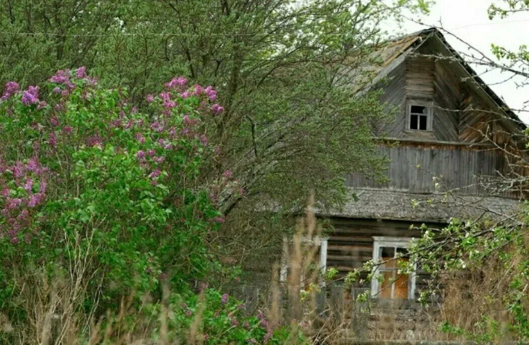 Заросший дом в деревне. Заброшенные дома в деревнях. Заброшенный деревенский дом. Заброшенный домик в деревне. Заброшенный дом в саду.