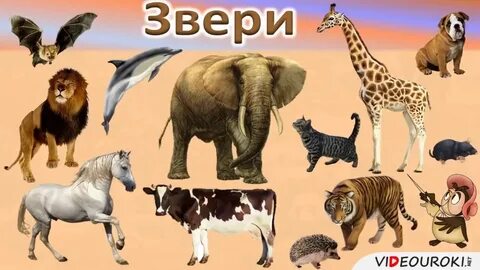 Включи окружающий мир животные