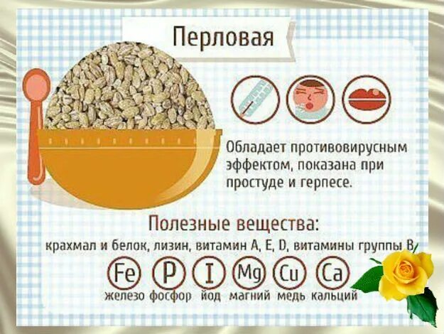 Перловка польза при похудении. Перловка полезные вещества. перловка витамины. коллаген в перловке. каша красоты.