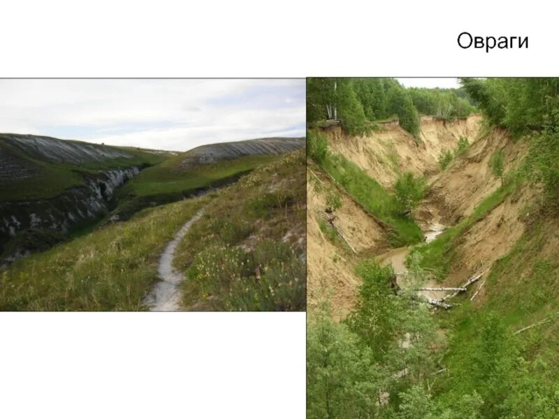 Перечислите основные формы рельефа. Овраг. Выберите формы рельефа овраг гора гейзер валун. Равнины холмы овраги. Выберите формы рельефа овраг гора гейзер валун.