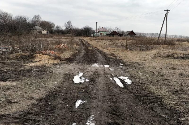 Деревня Николаевка Воронежская область. Николаевка Анинский район. Село Николаевка Воронежская область Аннинский район. Поселок Николаевка Аннинского района. Селе николаевка воронежской области