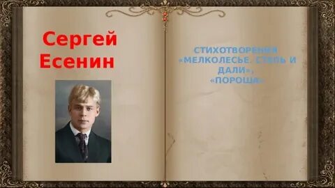 Есенин степи