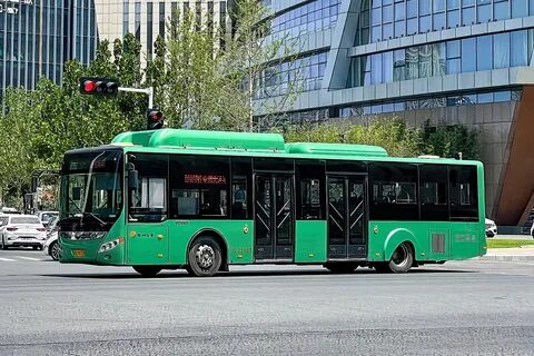 Город зеленых автобусов